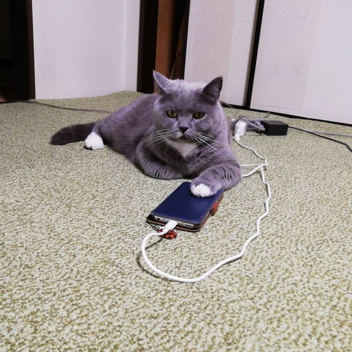 913df6e5 d03d 4209 8cd5 87ca551744c0 1655126903255