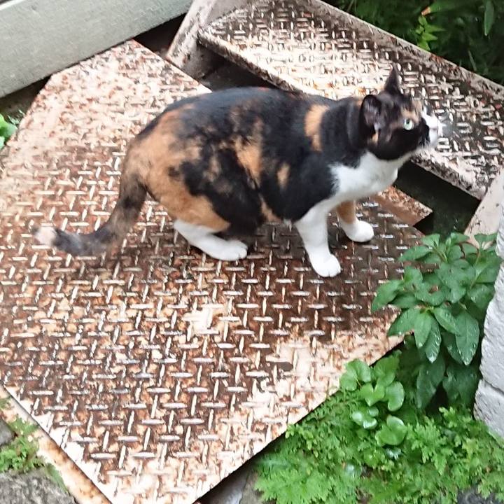 913e1473 82b9 499b b9dd 2f4a094a27ba 1599450032364