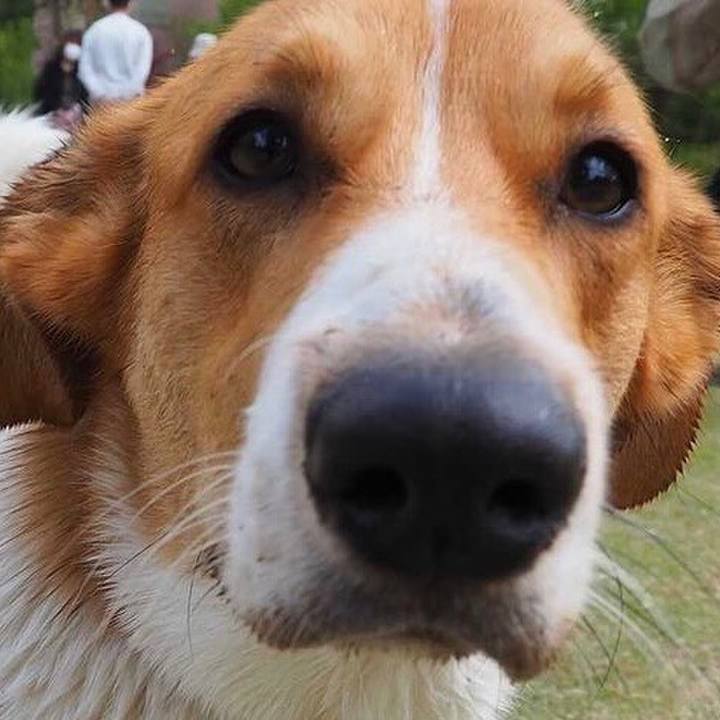 913e35aa e143 4d61 81c8 6aa45e593014 1618635999372