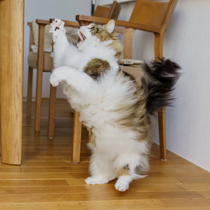 913e80df 2ea0 4e98 a6a4 5cb8e31e3245 1649431961789