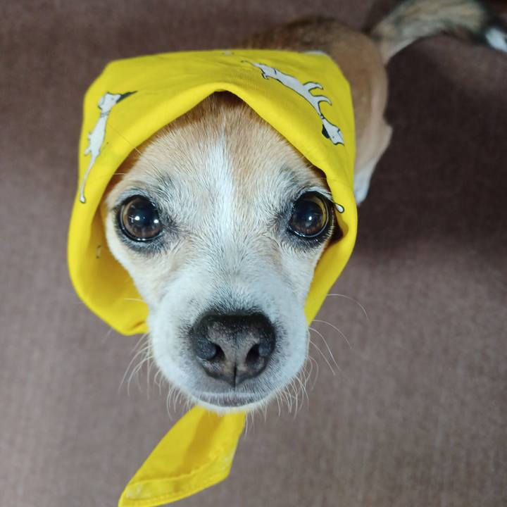 913e826e 4fa6 4f63 b676 1bd013369d84 1662674709025