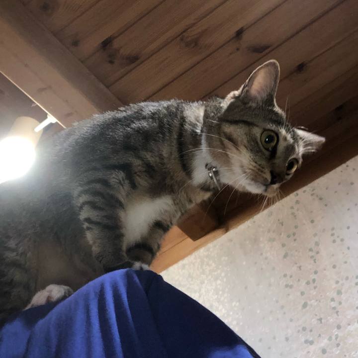 913e8c11 a265 486c b06f 4596d8a690de 1597572572910