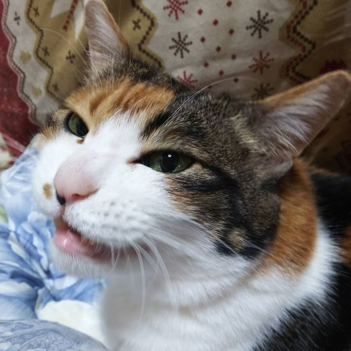 913ec3c0 6ef1 4d92 824a 6b9f2d713eff 1555205692846