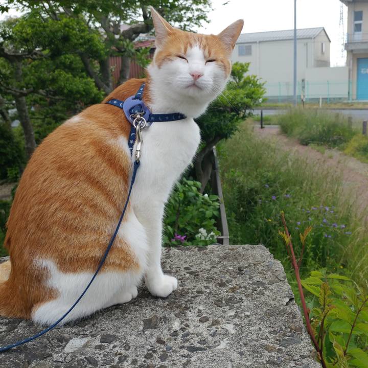 913ed25e 5bb6 4944 a992 48df2f637943 1527992364964