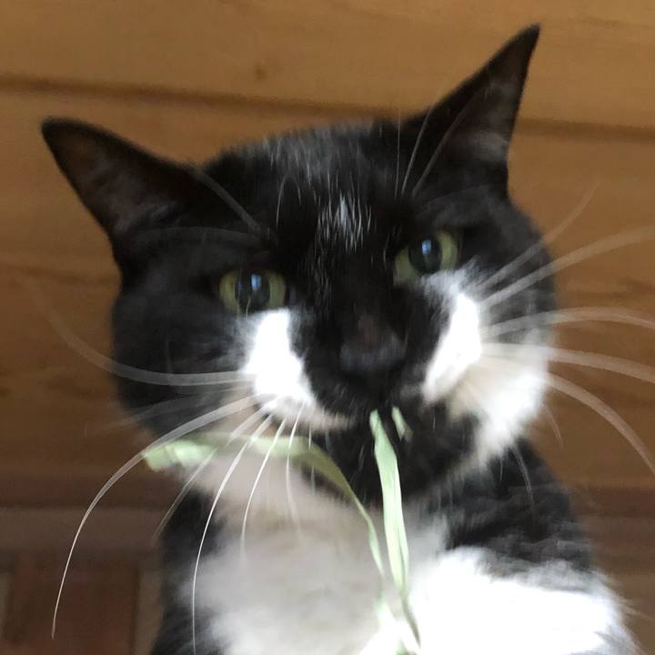 913f1c37 3f8e 4e3e bcd7 6e263ebbeab3 1566614086771