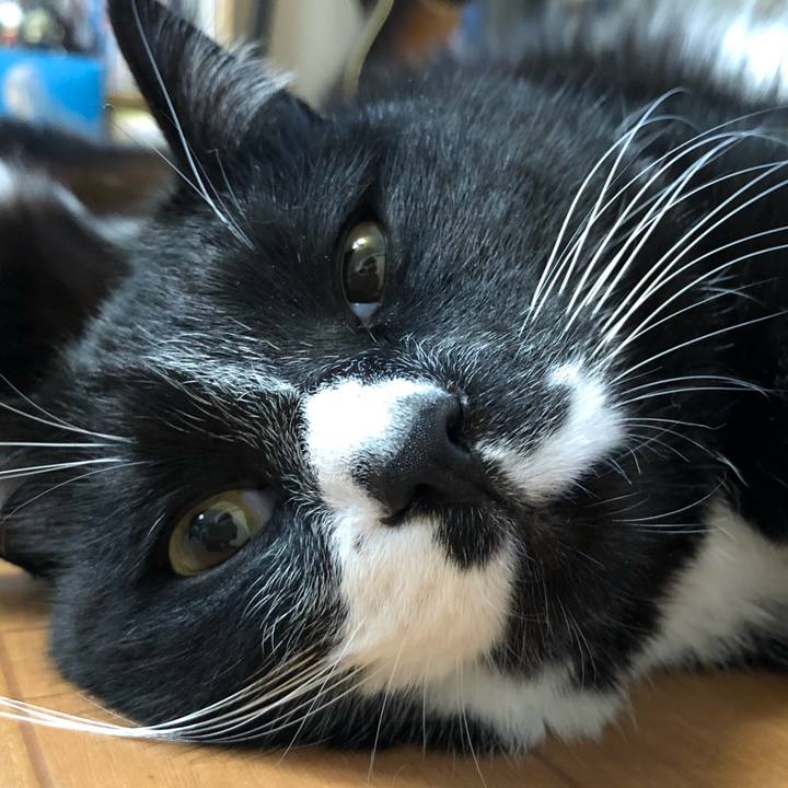 913f4d0a 610e 4b4b ab52 a51a58720bbb 1612667388560