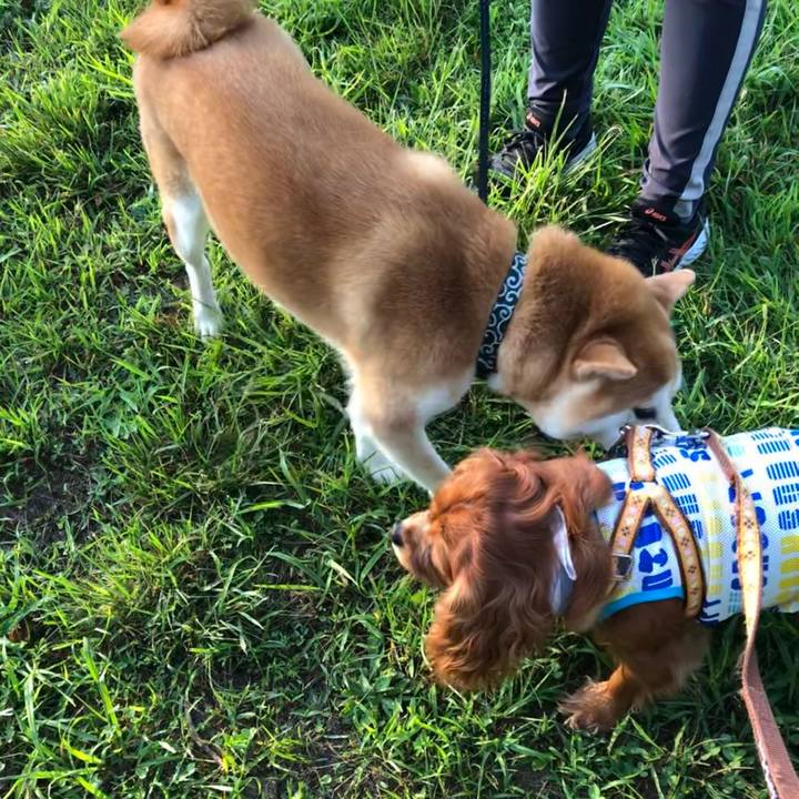 913f78e5 3320 436d 9c8b 6806a9cb88d7 1626997968280