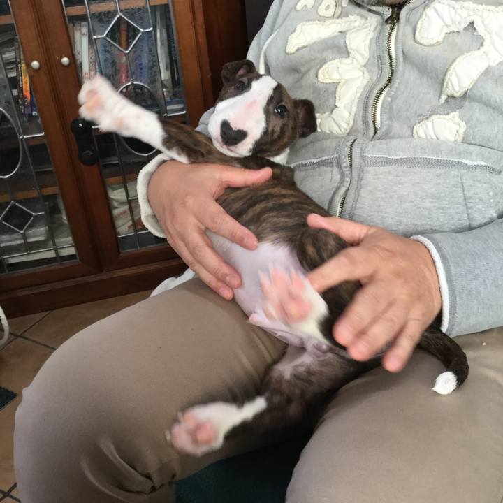 913f8807 aea4 430b af21 d33bb62ce609 1547458373707