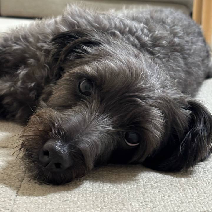 913f8bd4 6f0c 491c ad58 7f233548c650 1759571734861