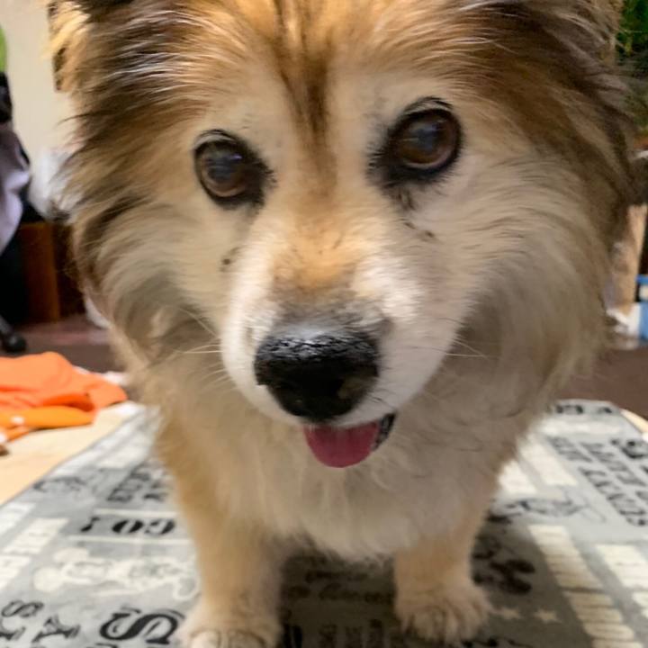 913f9ca6 7f16 4d5b 918d bad06cade573 1573185296109