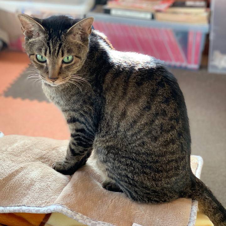 913ff24b 5cef 4363 ae96 27c6462a99bb 1573262232332