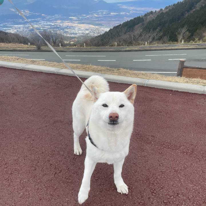 914011ac 60e0 4d5e baee 92a31c38462f 1647778058935