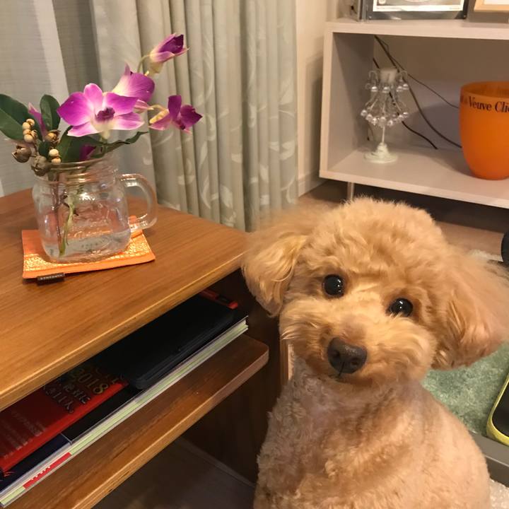 91401b5c ecfa 4ea8 b5d3 7377c341a984 1519727882249