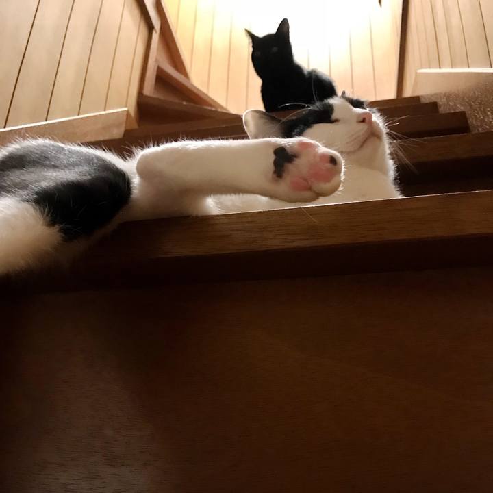 91401f19 4479 4124 b014 e90b70d38613 1507682009489