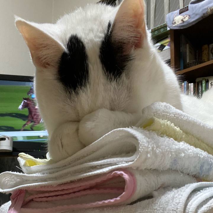 9140369a 3e1e 4279 90f4 00fd698f2971 1575812217042