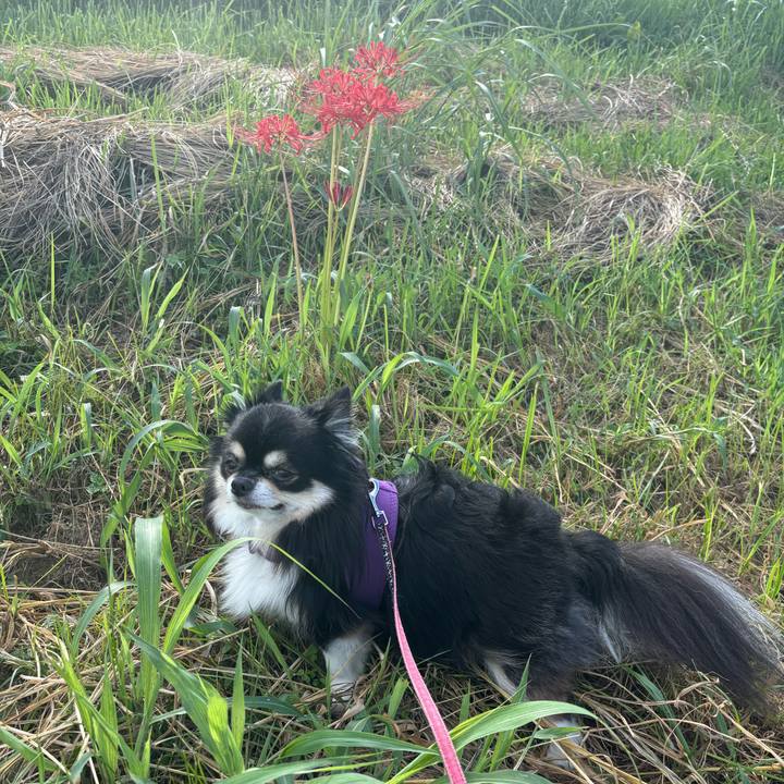 914040be 7d6c 4d02 bae5 efbf049ee53f 1758933654479