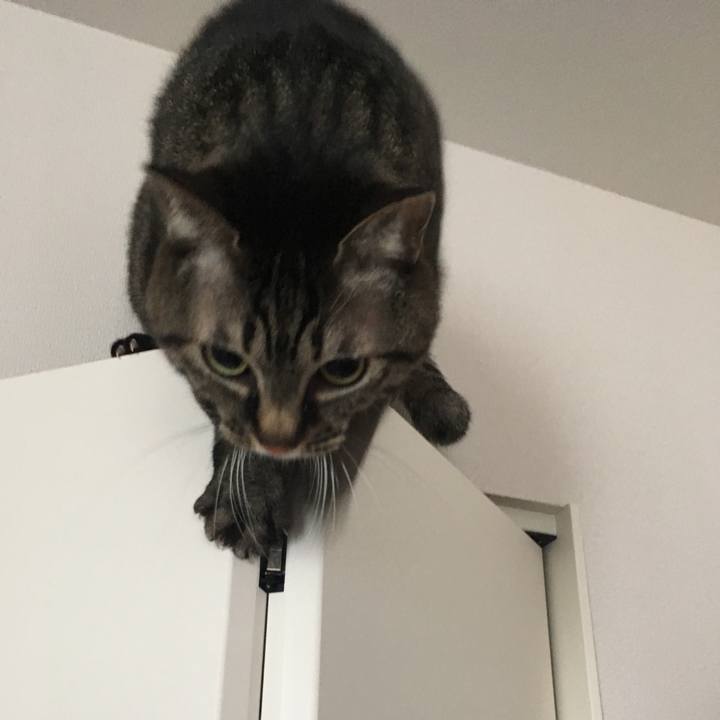 9140516c e4d2 46f9 9823 1d671b1956d1 1577757901925