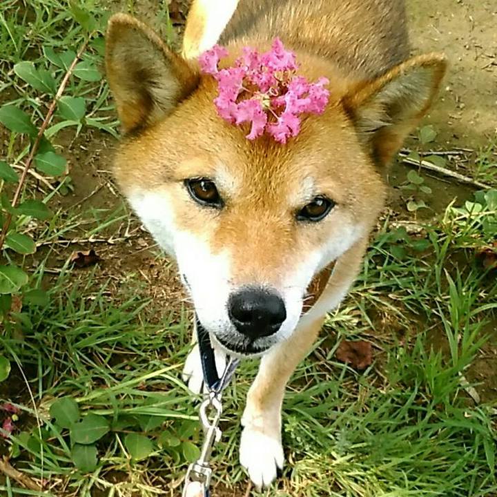 9140523e 93bb 45cb 9bdd 1f6d50894ecd 1567381906227