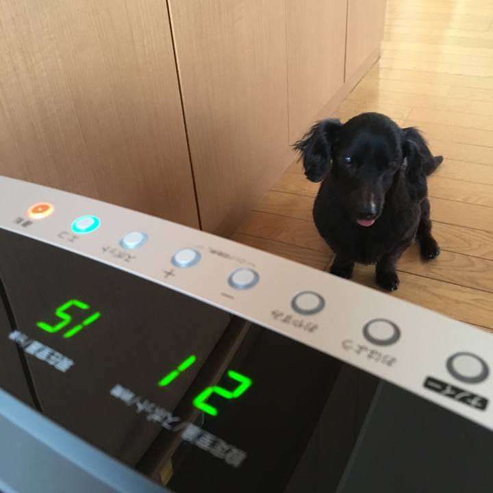 91409029 d7ba 4a82 a874 291ac1104c61 1547678270316