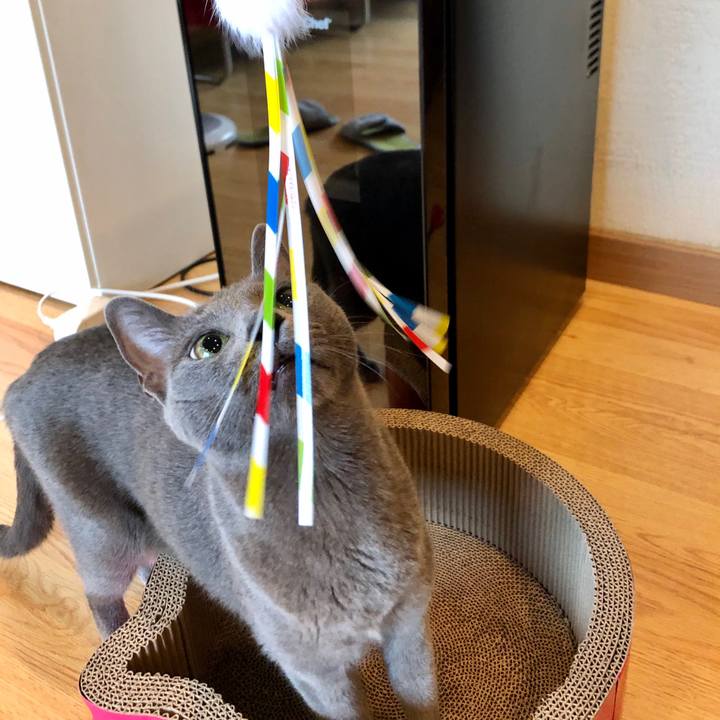 9140b2dd 8c72 4e40 8486 b08b7cd2e1d3 1592444204318