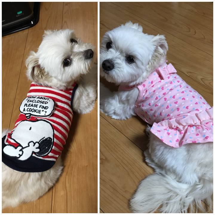 9140d10c 45b4 46b9 b1d2 bce42a04e022 1519903289486