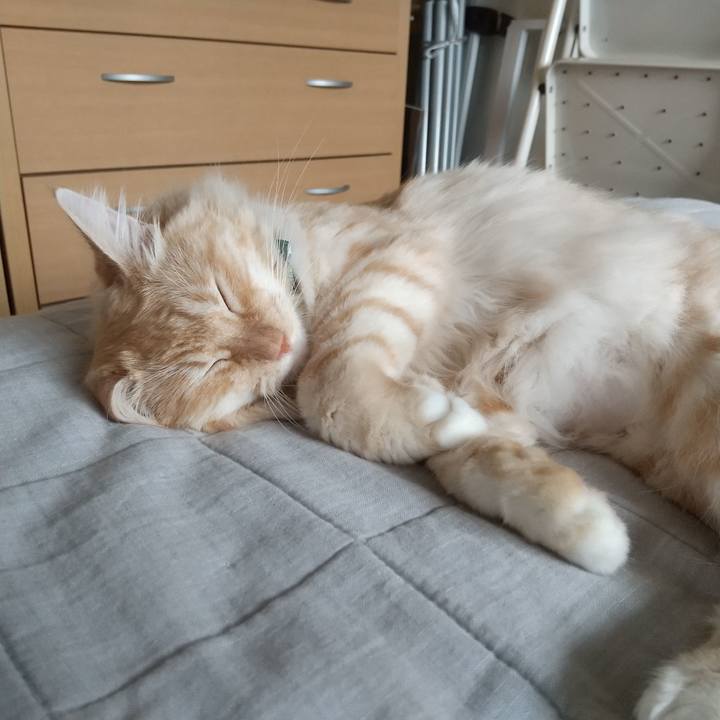 9140ece5 407b 4221 aa2b 96632f064aa3 1631401983815