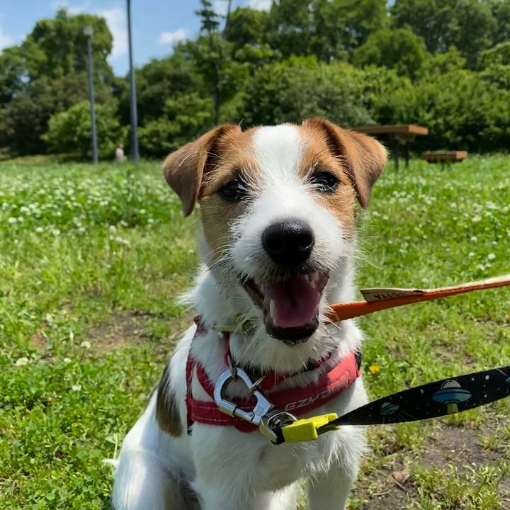 91410ca0 4bfe 426e 8f3d 87b442da430b 1621751724376