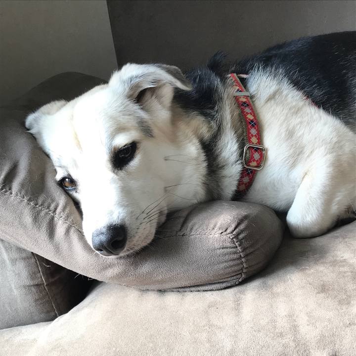 91412926 c788 4b0d a4ce 9a0888ad828c 1520904234919