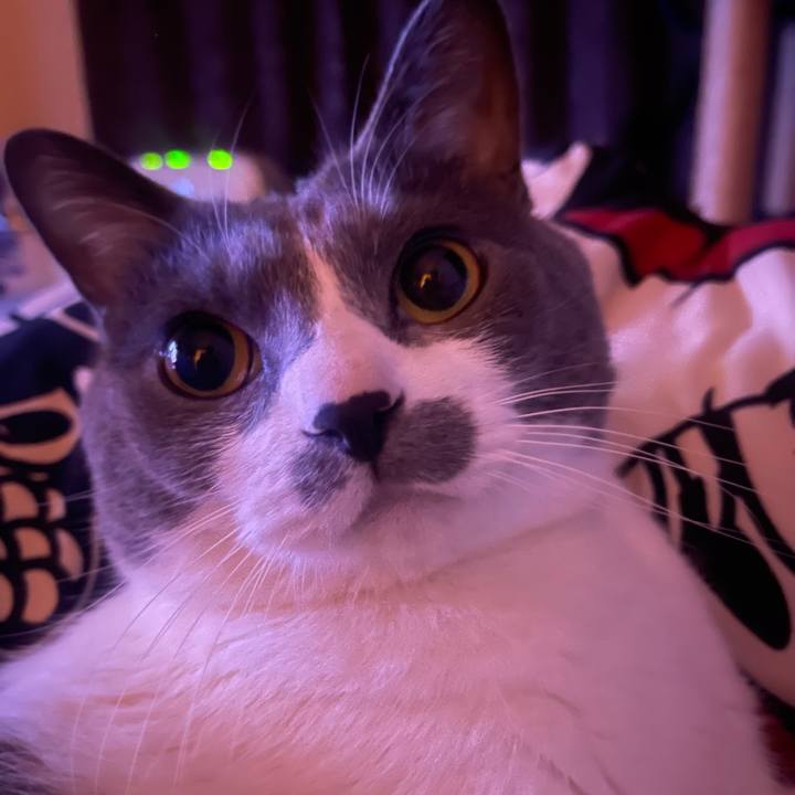 9141873c 1531 4fae 9526 5c7e1d015f28 1742641518505