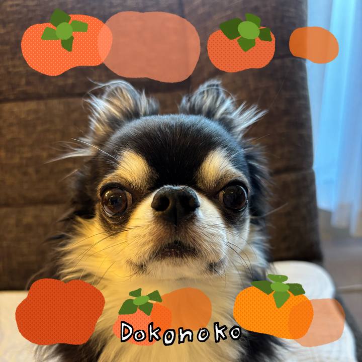 9141bb75 131a 45e3 b9f8 f444afd2275c 1761951323267