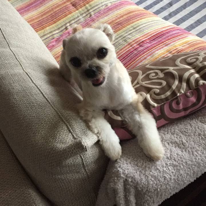 9141dba0 a8a9 4aab b310 5ee7204a0207 1561108487923