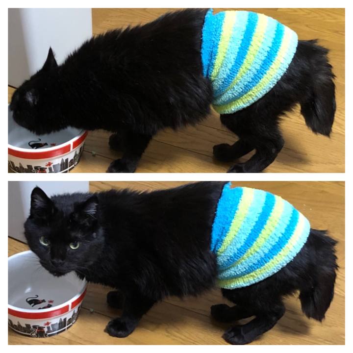 9142073e fc0f 4839 b530 1342c33d5972 1587379567486