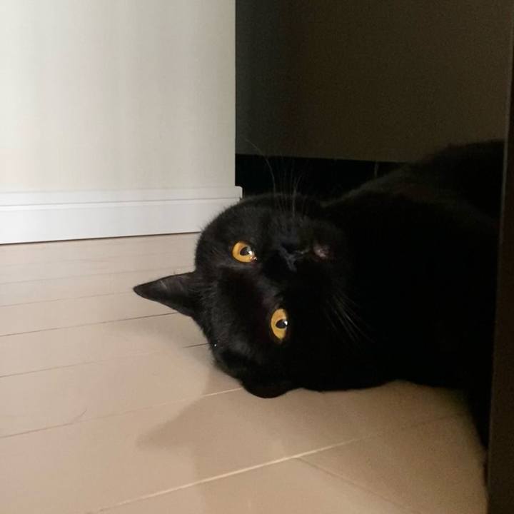 9142666f dd23 4486 8e8e 926f0dba3c6f 1724551750408