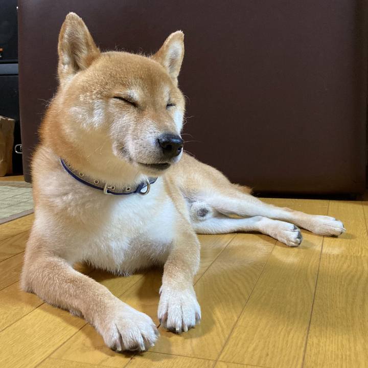 91427bb2 4a3e 4411 8382 dbbc4dadc74b 1656070692787