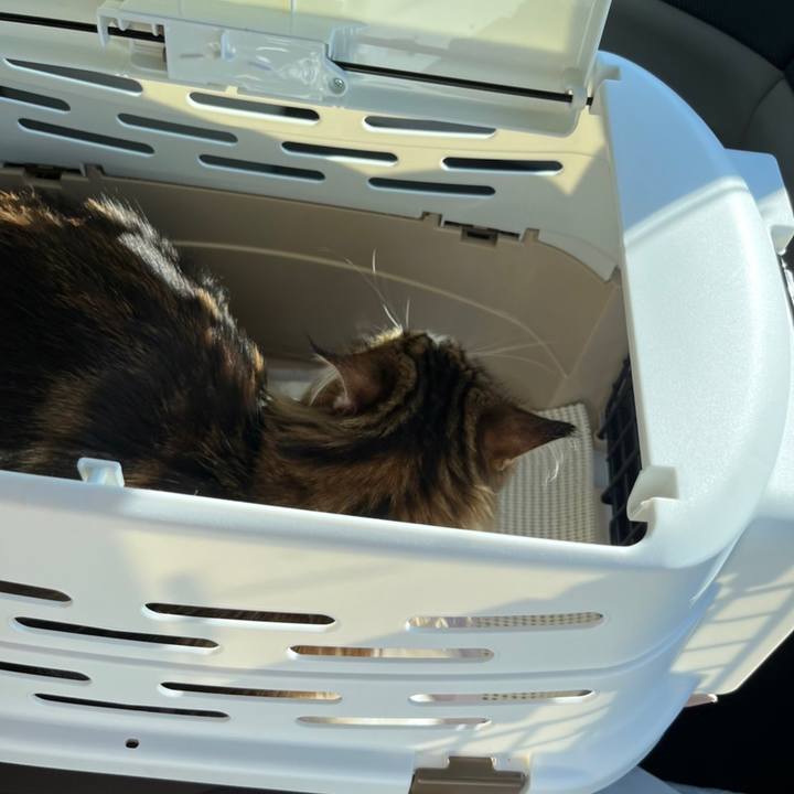 91428736 6fb4 40ee 802d 333e1181a41c 1657526009945