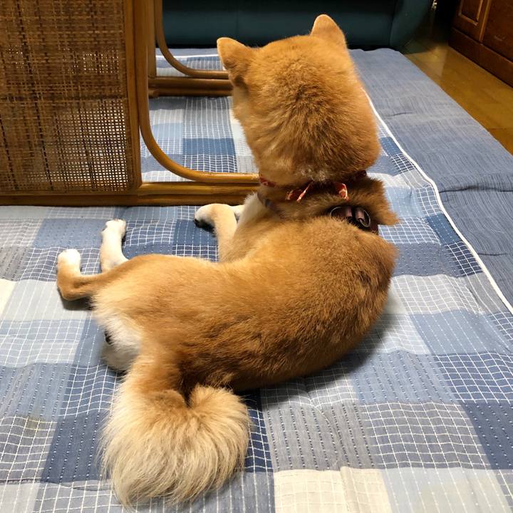 9142c748 87b9 4386 a7e4 d4e093c8ee07 1560777409471