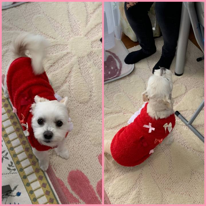 9142dc66 be2b 4c99 bb44 fe1d66e855bd 1641458553140