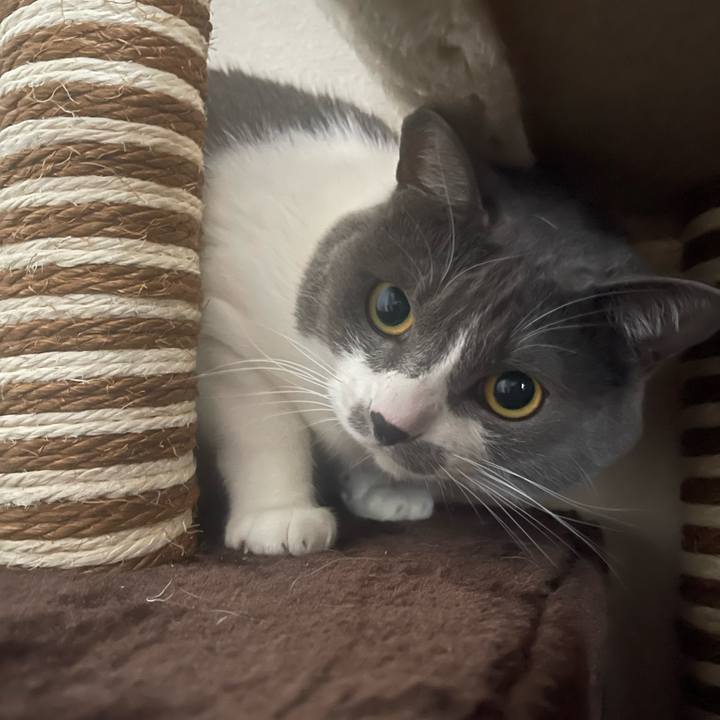 9142dcdb 4735 4a2e 94ab ca31b9ba6e4a 1672988944066