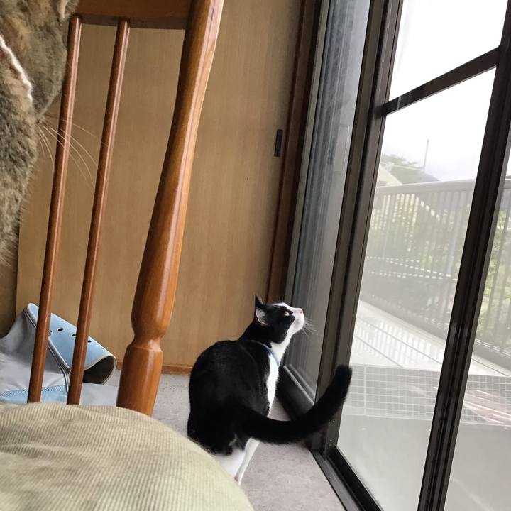 9142de02 7d74 498a baf0 4084a5dafbee 1662071419071