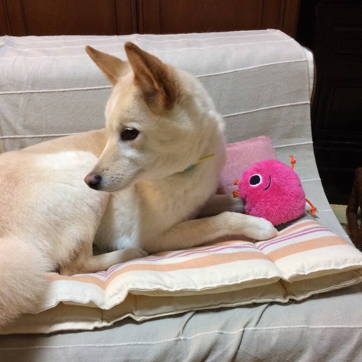 914319d0 dad7 4a86 9543 ea0d00fd51ab 1525869693429