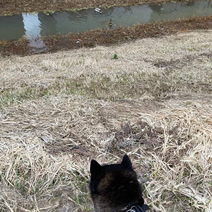 91434cdb 774c 46e7 a388 fe154d817374 1680343490209