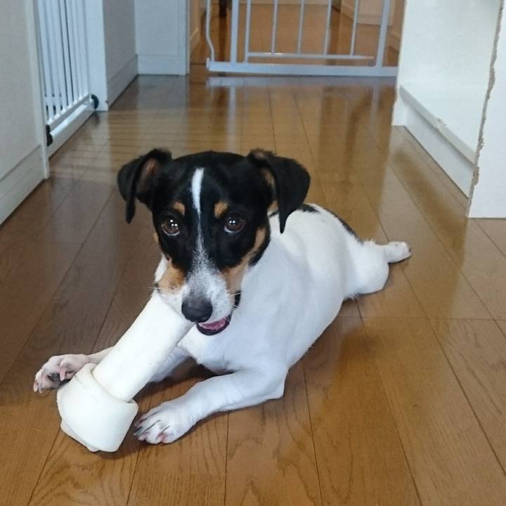 91438f62 355c 42ef b33e 097118dd2467 1533774513243