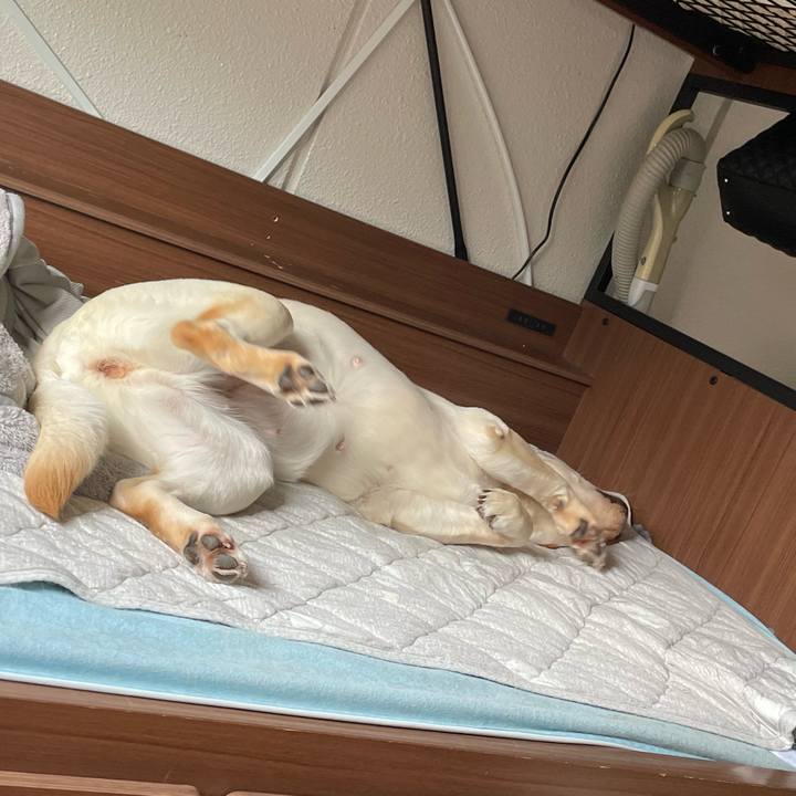 9143c7b3 88cf 4210 bba5 79ab4b3dd82d 1654740686810