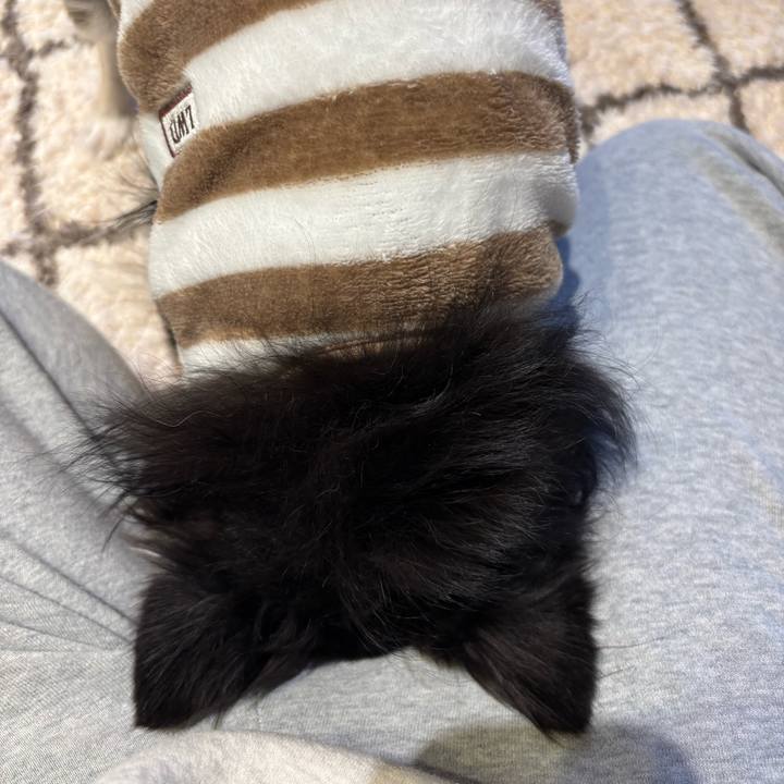 9143fc34 5271 443f b357 0492b2bc45af 1738427191619