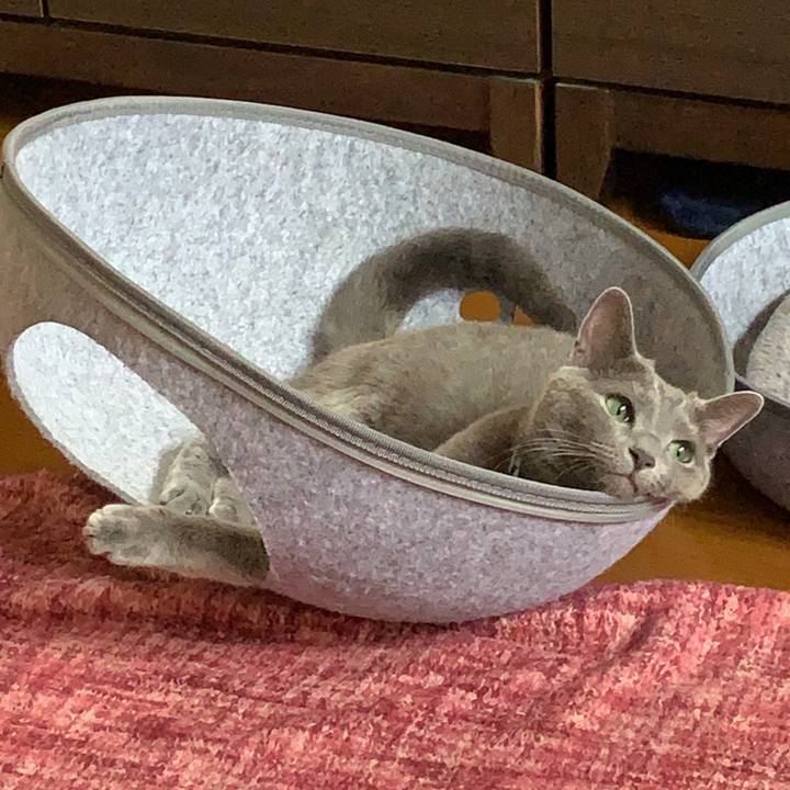 9144078e b05d 4853 9c6a bdfc78d2d4f2 1594886009042