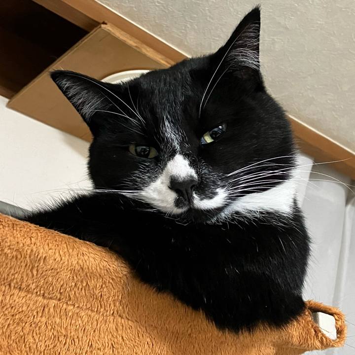 91444af9 b1a7 46d6 bbda d5ea87e3feb6 1677728135587