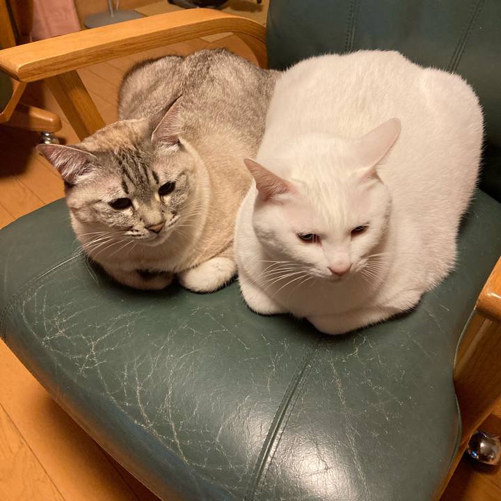 91448f3d 928b 435a a5fd acaedcc0c277 1677119804757