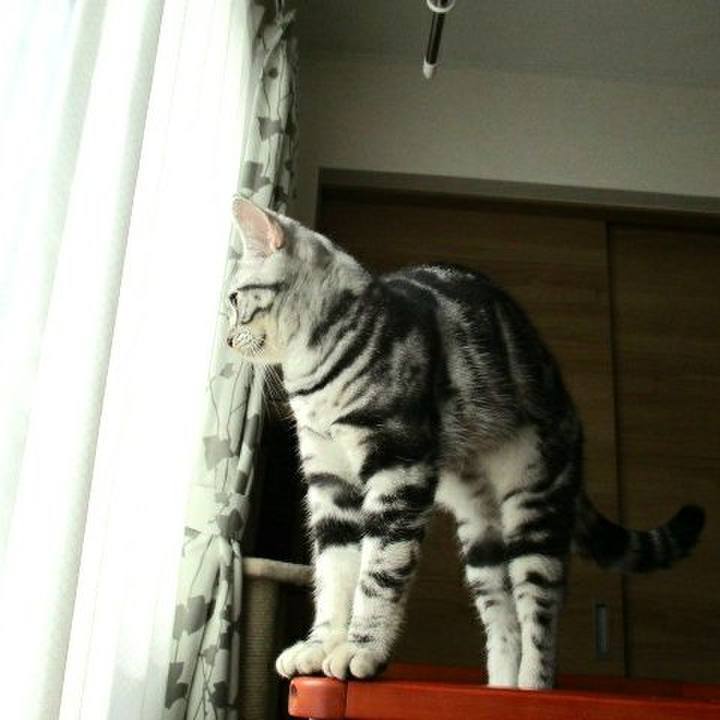 914499b3 0456 4558 8d60 7b663f9adedb 1539482113401