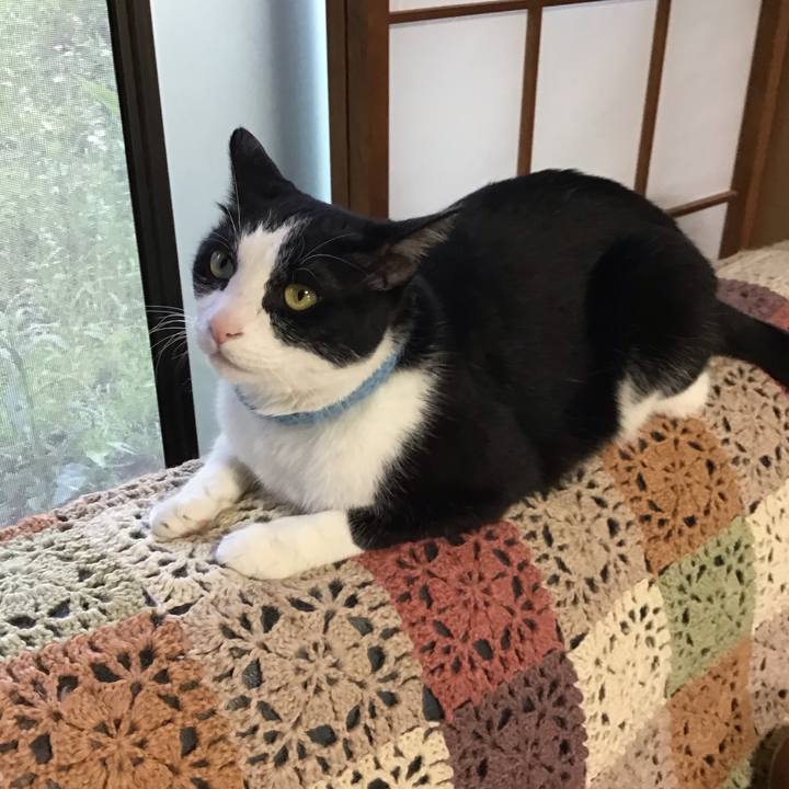 9144c16b 1ca7 49b6 8ccb 5d43c5b03514 1747726879798