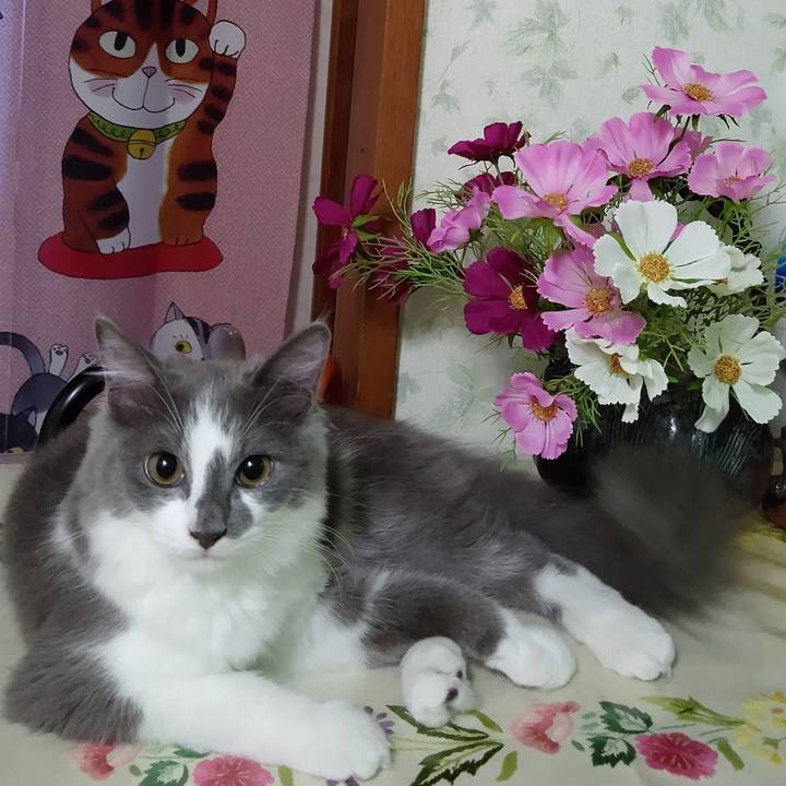 9144cce7 0ea8 4da9 966e 068a48f68891 1569194628377